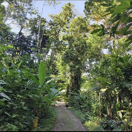 Casa Palmera Cocles, 300M To The Beach Puerto Viejo de Talamanca ภายนอก รูปภาพ