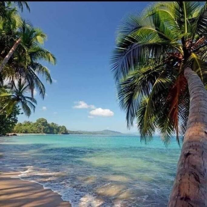 Casa Palmera Cocles, 300M To The Beach Puerto Viejo de Talamanca ภายนอก รูปภาพ