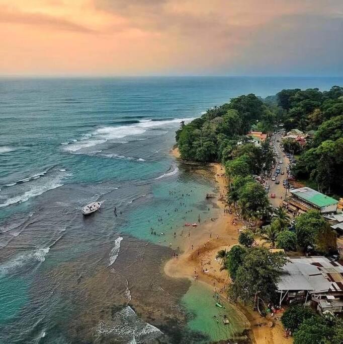 Casa Palmera Cocles, 300M To The Beach Puerto Viejo de Talamanca ภายนอก รูปภาพ