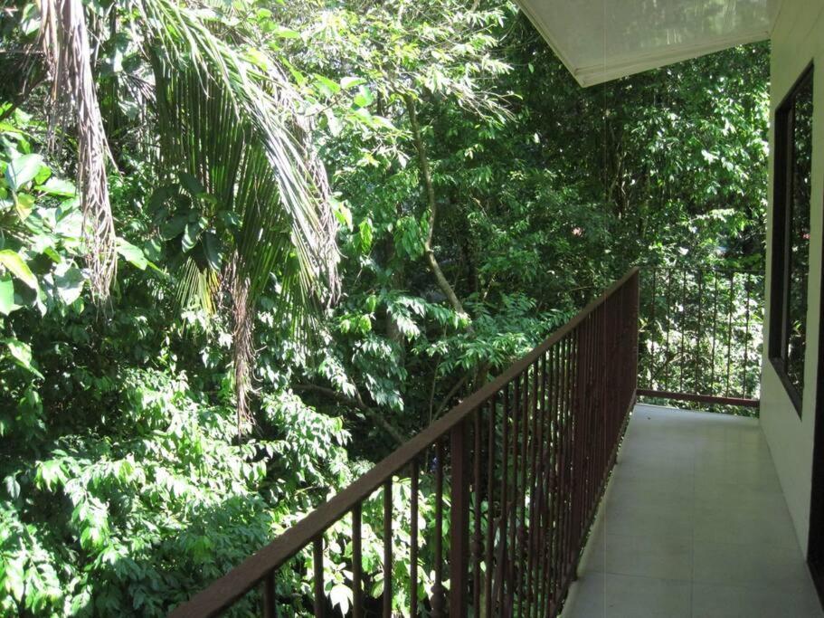 Casa Palmera Cocles, 300M To The Beach Puerto Viejo de Talamanca ภายนอก รูปภาพ