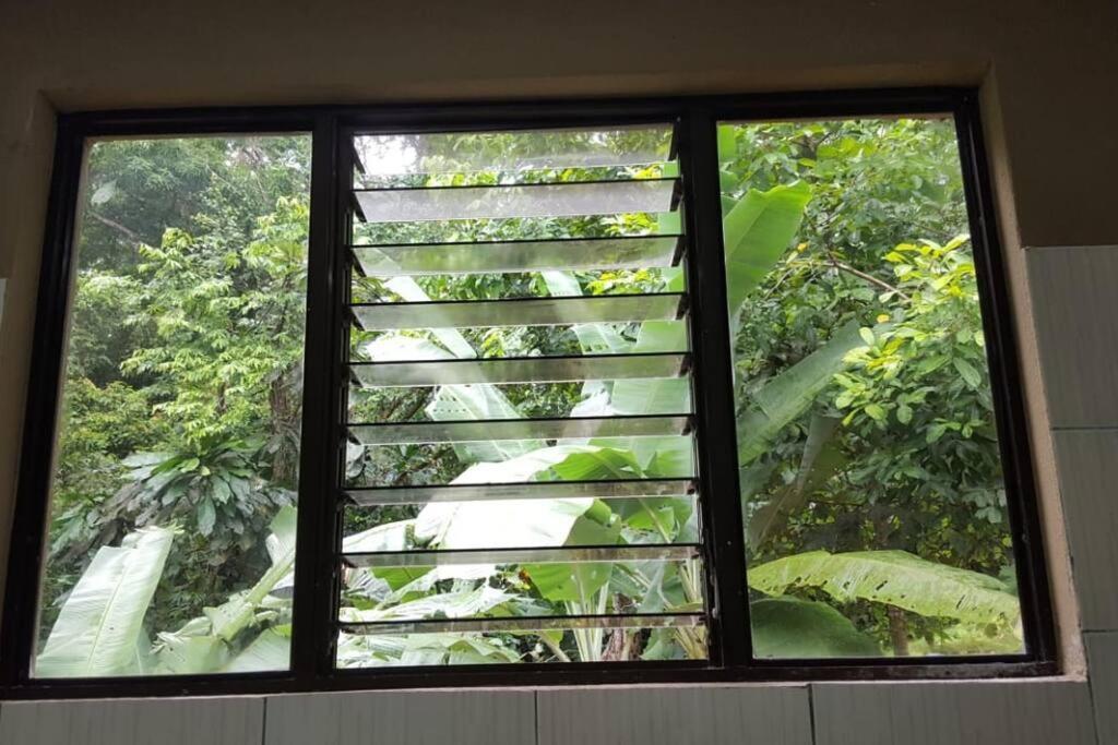 Casa Palmera Cocles, 300M To The Beach Puerto Viejo de Talamanca ภายนอก รูปภาพ