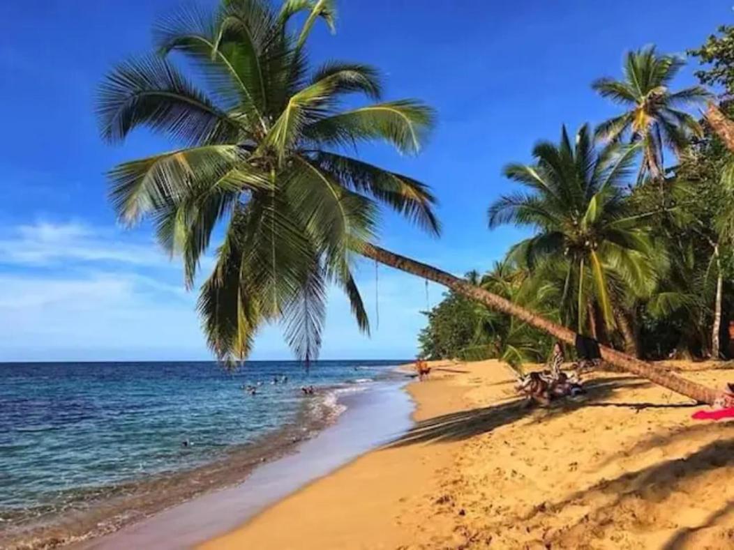 Casa Palmera Cocles, 300M To The Beach Puerto Viejo de Talamanca ภายนอก รูปภาพ