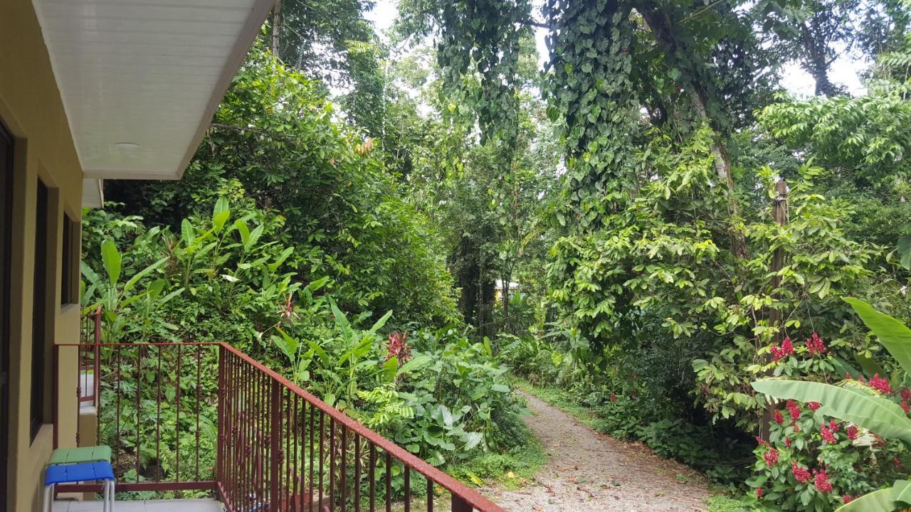Casa Palmera Cocles, 300M To The Beach Puerto Viejo de Talamanca ภายนอก รูปภาพ
